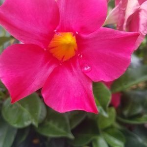 Meet your Posher, Collette